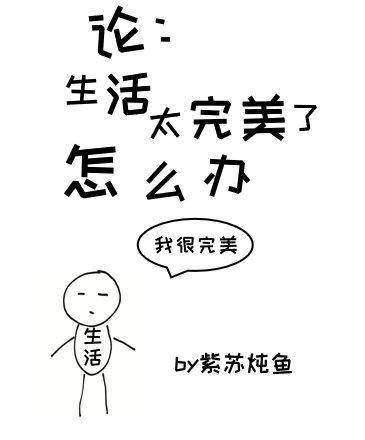 论生活太完美了怎么办封面