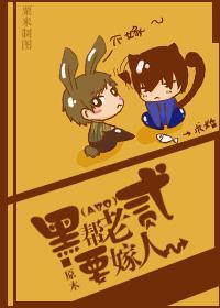 南家小贰要嫁人[ABO]封面