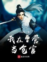 我在曹营当仓官封面