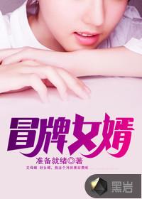 冒牌女婿封面