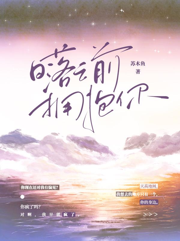 日落之前拥抱你封面