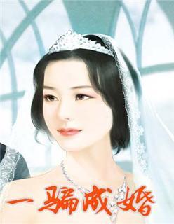 一骗成婚封面