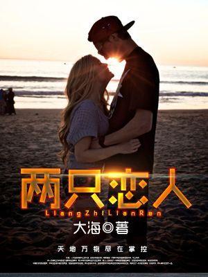 两只恋人封面