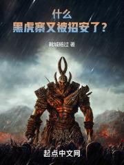 什么！黑虎寨又被招安了？！封面