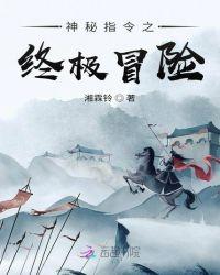神秘指令之终极冒险封面