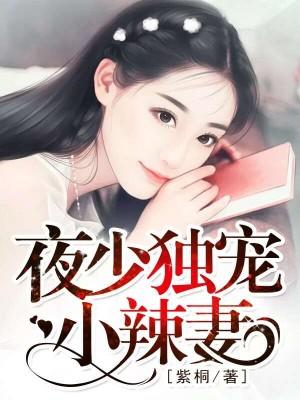 冷秋白夜北辰封面