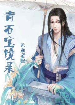 青石宝镜录封面