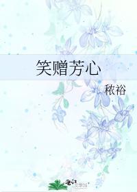 笑赠芳心封面