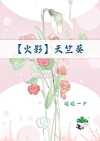[火影]天竺葵封面