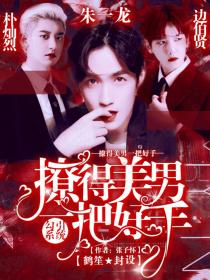 勾搭系统：撩得美男一把好手封面