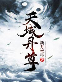 天域丹尊封面