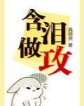 含泪做攻封面