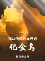 我从低武世界开始化金乌封面
