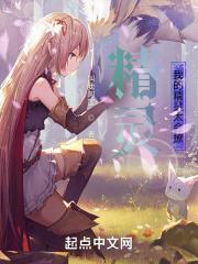 精灵：我的精灵太会撩封面