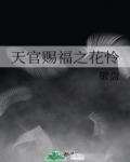 天官赐福花怜车文封面