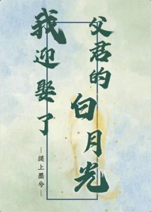 我迎娶了父君的白月光封面