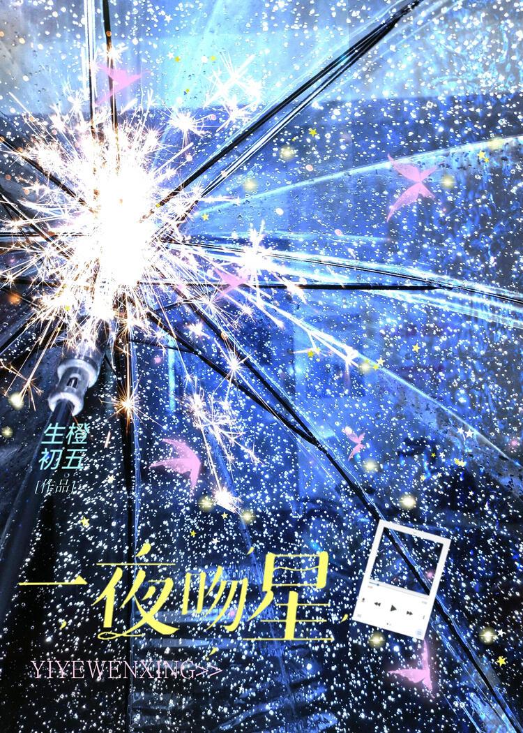 一夜吻星封面