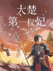 大楚第一权妃封面