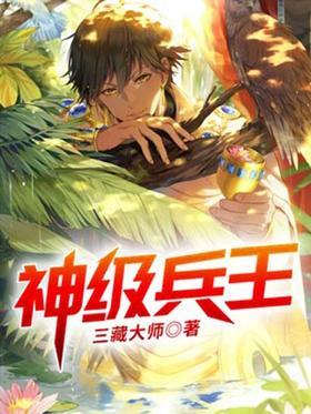 神级兵王封面