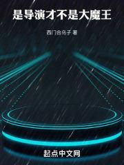 华娱：导演只想省钱封面