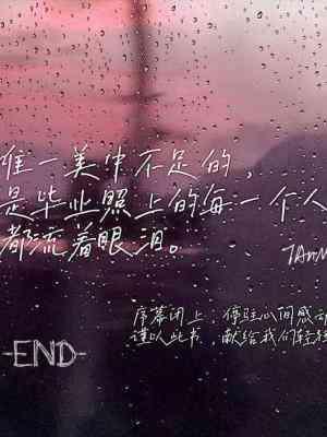 沨起云游封面
