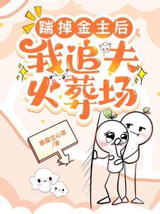 踹掉金主后，我追夫火葬场封面
