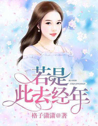 若是此去经年封面