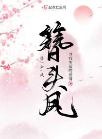 簪头凤封面