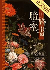 暗室婚书封面