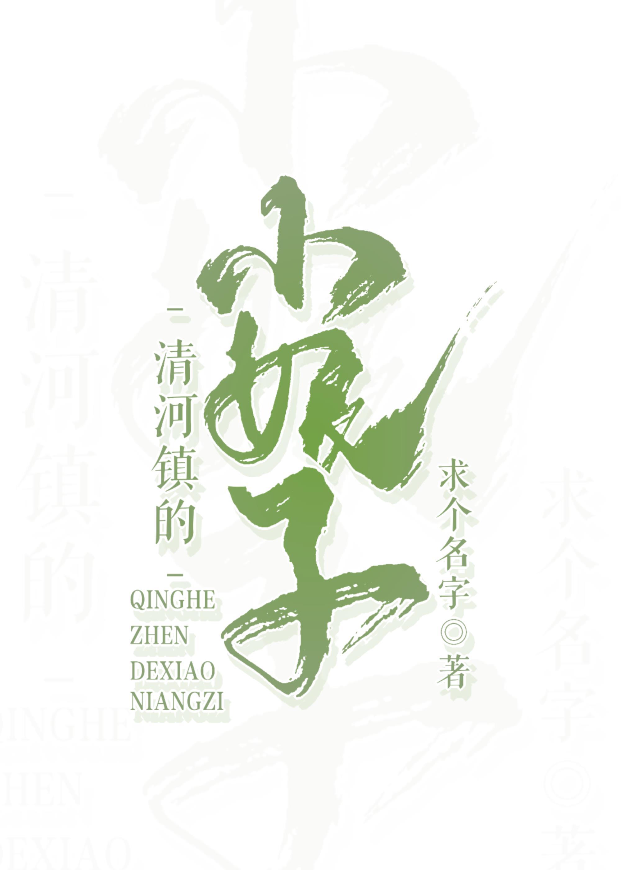 清河镇的小娘子封面