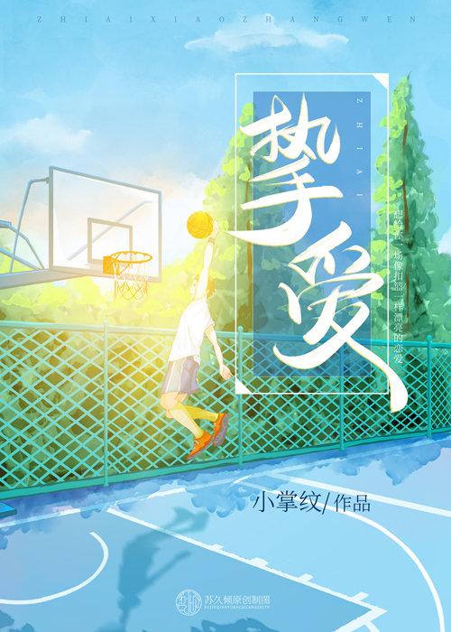 挚爱如歌全文封面