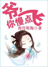 爷，你慢点飞封面