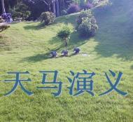 天马演义封面