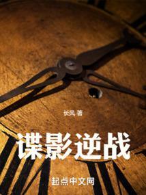 谍影逆战封面