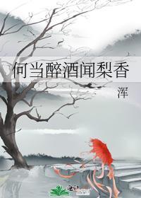何当醉酒闻梨香封面