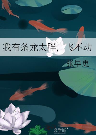 我有条龙太胖，飞不动封面