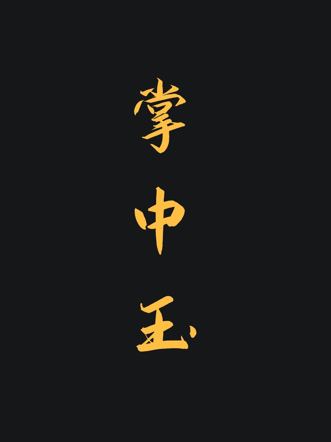 掌中玉封面