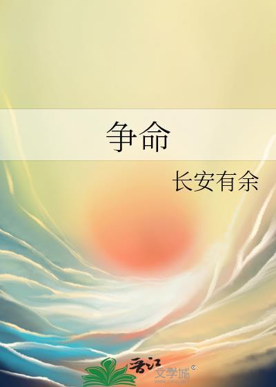 争命封面