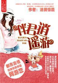 伴君逍遥游封面