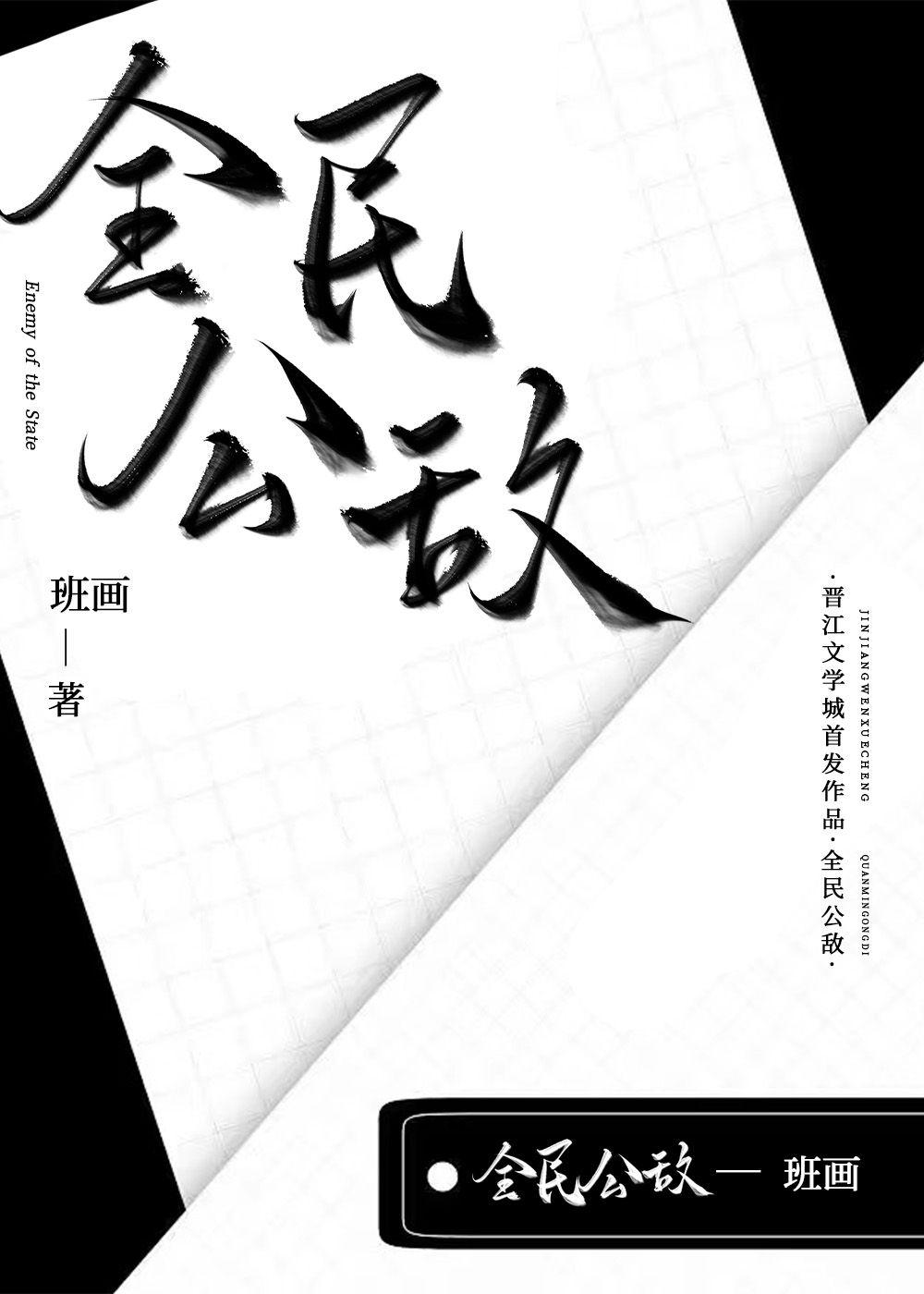 全民公敌封面