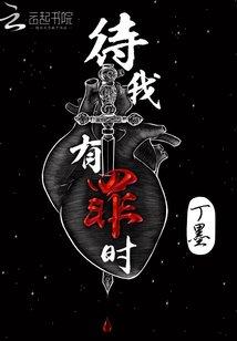 待我有罪时（待我醒来时）封面