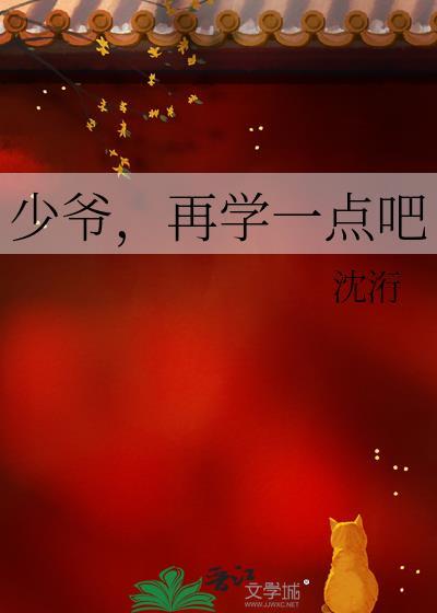 少爷，再学一点吧封面