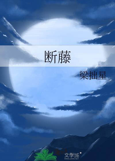 断藤封面