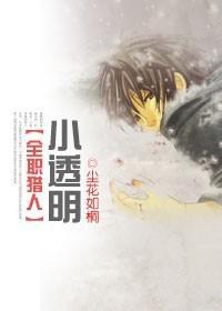 小透明封面