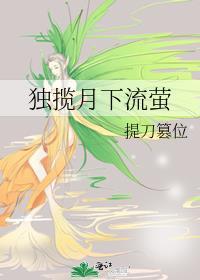 独揽月下流萤封面