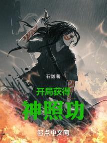 开局获得神照功封面
