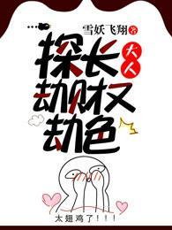探长大人劫财又劫色封面