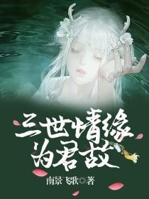 三世情缘为君故封面