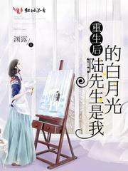 重生后陆先生是我的白月光封面