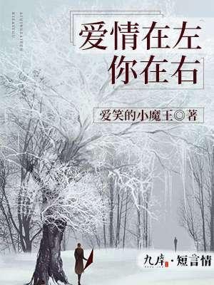 爱情在左你在右封面